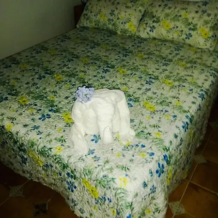 Vivienda Vacacional Folillo * San Nicolás